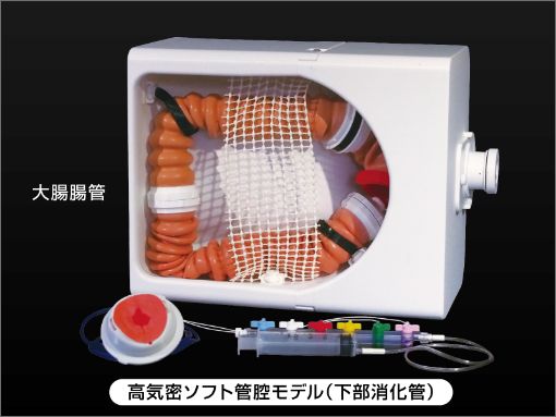 高気密ソフト管腔モデル(下部消化管)の画像