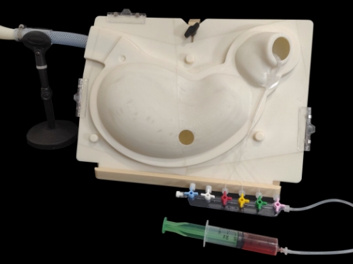 上部消化管モデル 内視鏡的止血術シミュレータの製品画像
