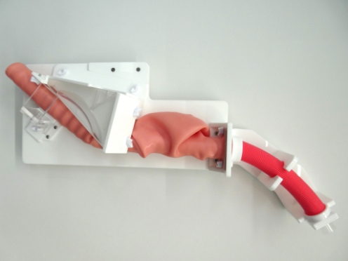 ERCP／ESTモデル 胆膵内視鏡シミュレータの製品画像